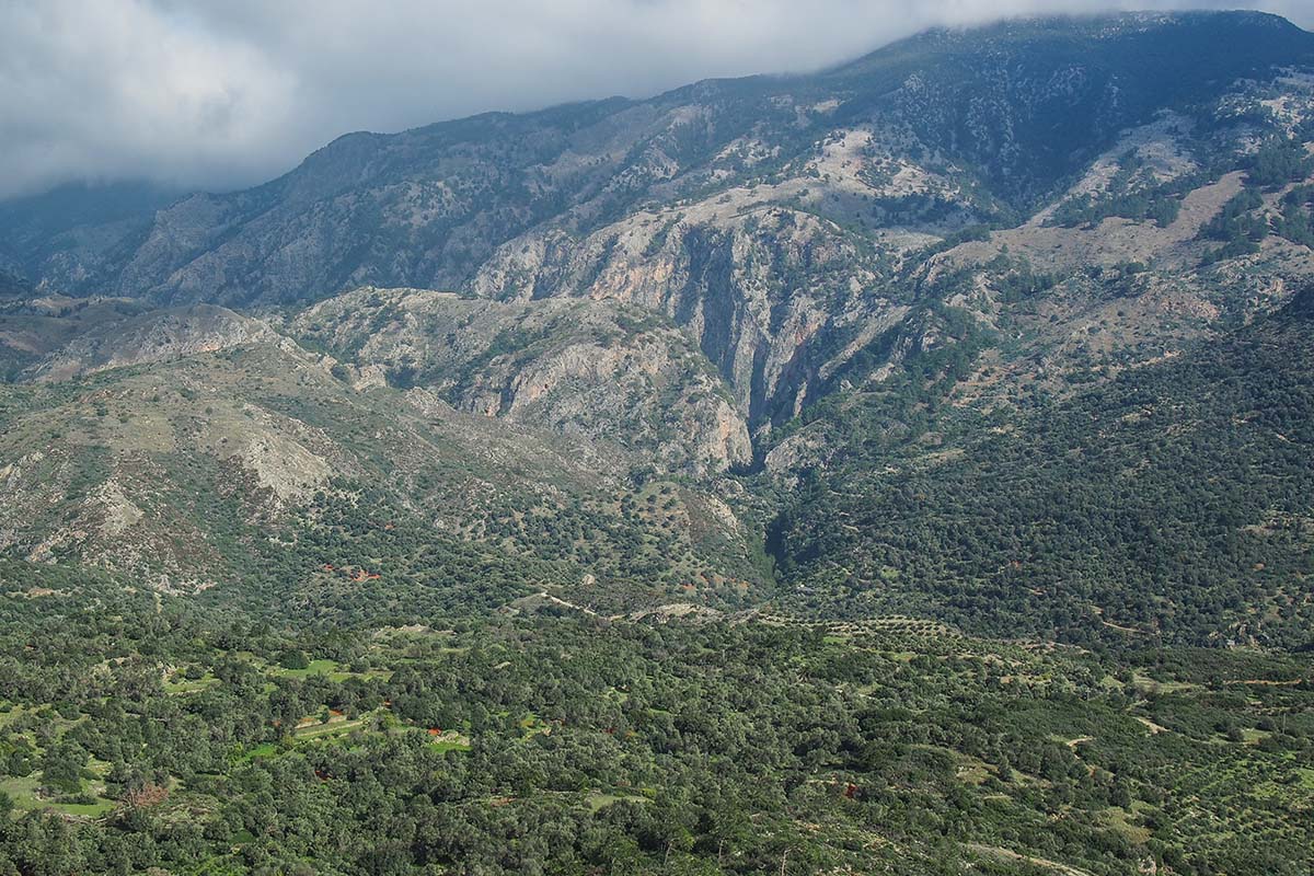 Φαράγγι της Αγίας Ειρήνης