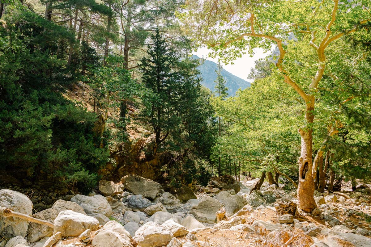 Φαράγγι της Σαμαριάς