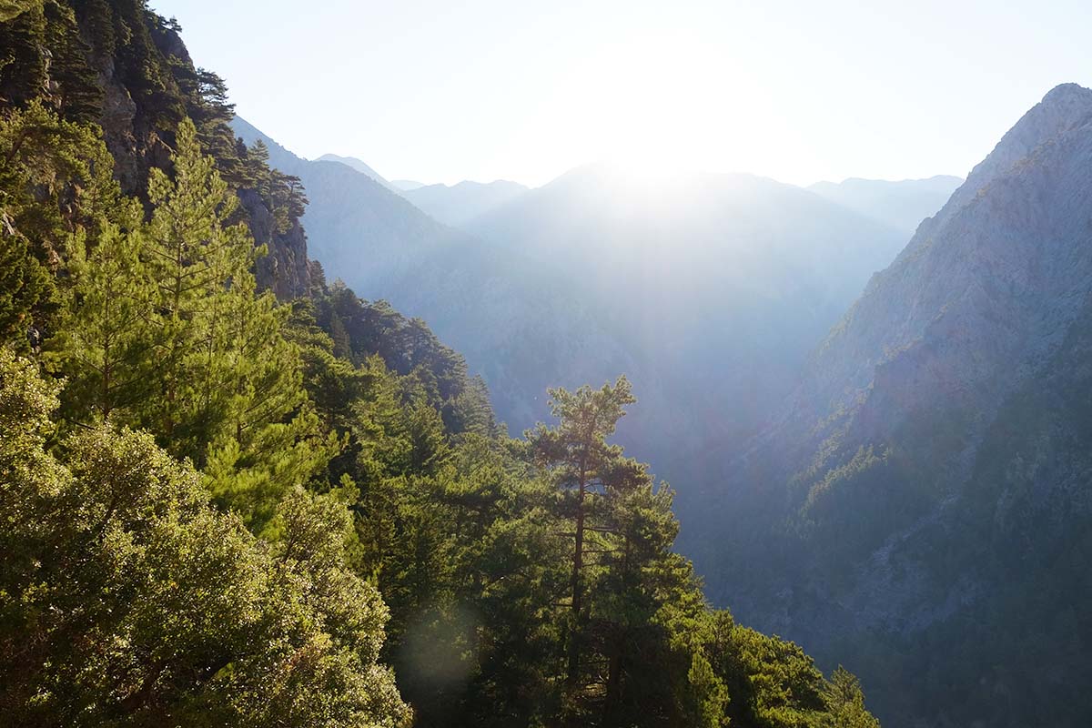 Φαράγγι της Σαμαριάς